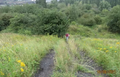 Charleroi, in de voetsporen van de mijnwerkers