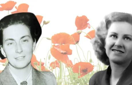 8 mei dag van de vrede