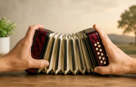 accordeon, zorg