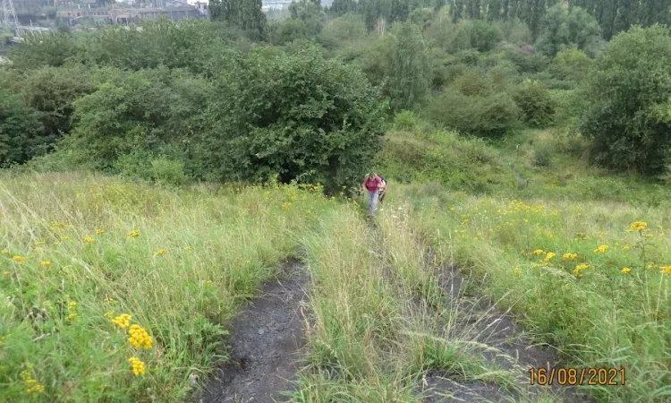 Charleroi, in de voetsporen van de mijnwerkers