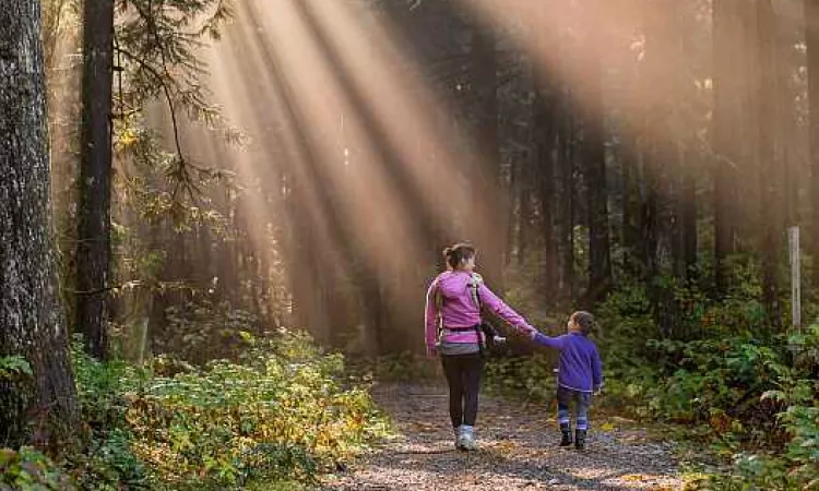 Het verhaal van drie sterke mama's Het verhaal van drie sterke mama's