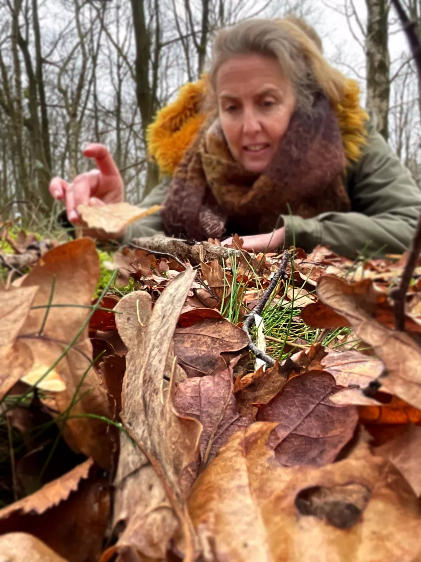 Sigrid Sypré bekijkt de blaadjes op de grond