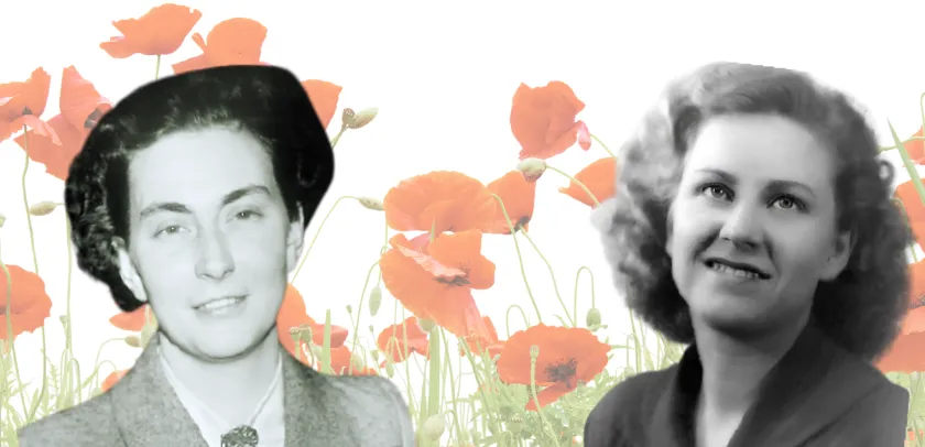 8 mei dag van de vrede